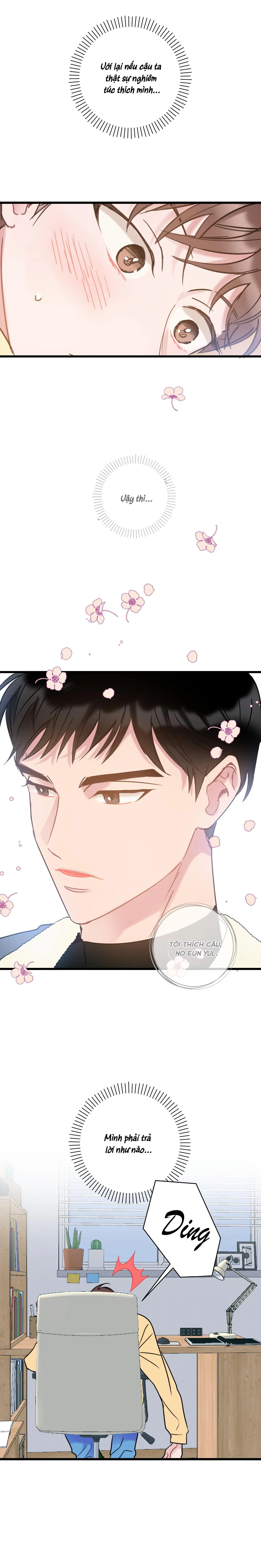 TÌNH YÊU BÌNH DỊ NHẤT Chapter 6 Trang 13