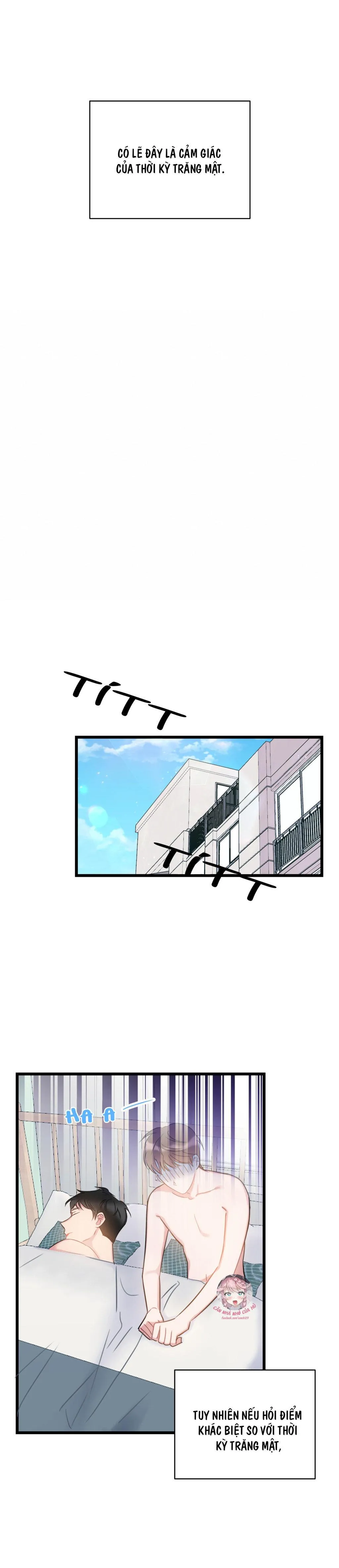 TÌNH YÊU BÌNH DỊ NHẤT Chapter 11 Trang 19