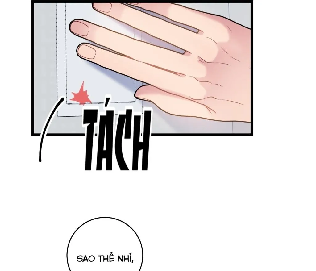 TÌNH YÊU BÌNH DỊ NHẤT Chapter 13 Trang 8