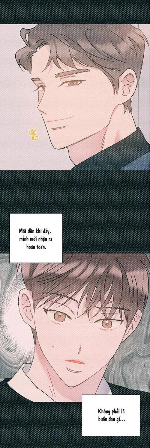 TÌNH YÊU BÌNH DỊ NHẤT Chapter 31 Trang 26