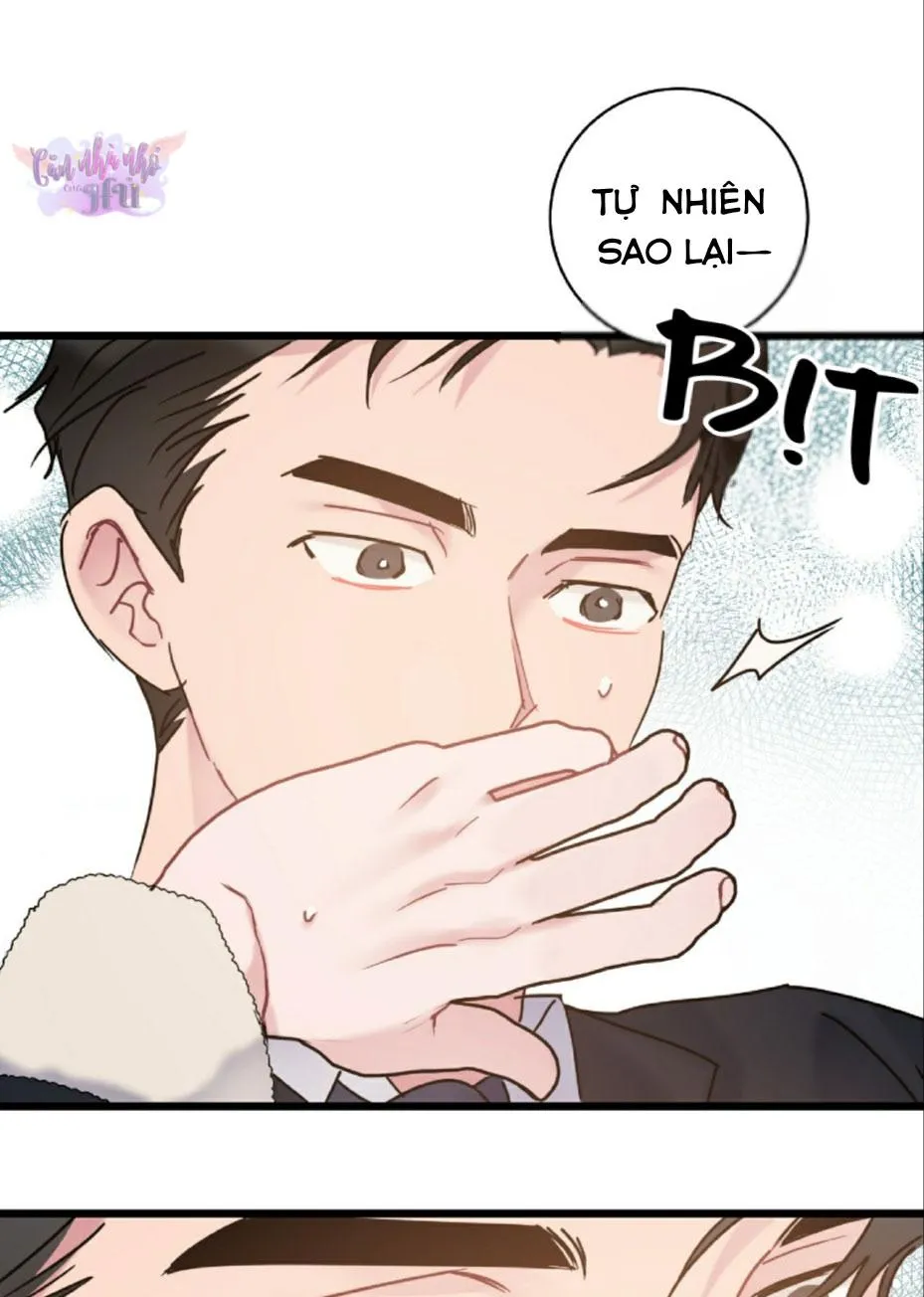 TÌNH YÊU BÌNH DỊ NHẤT Chapter 32 Trang 51