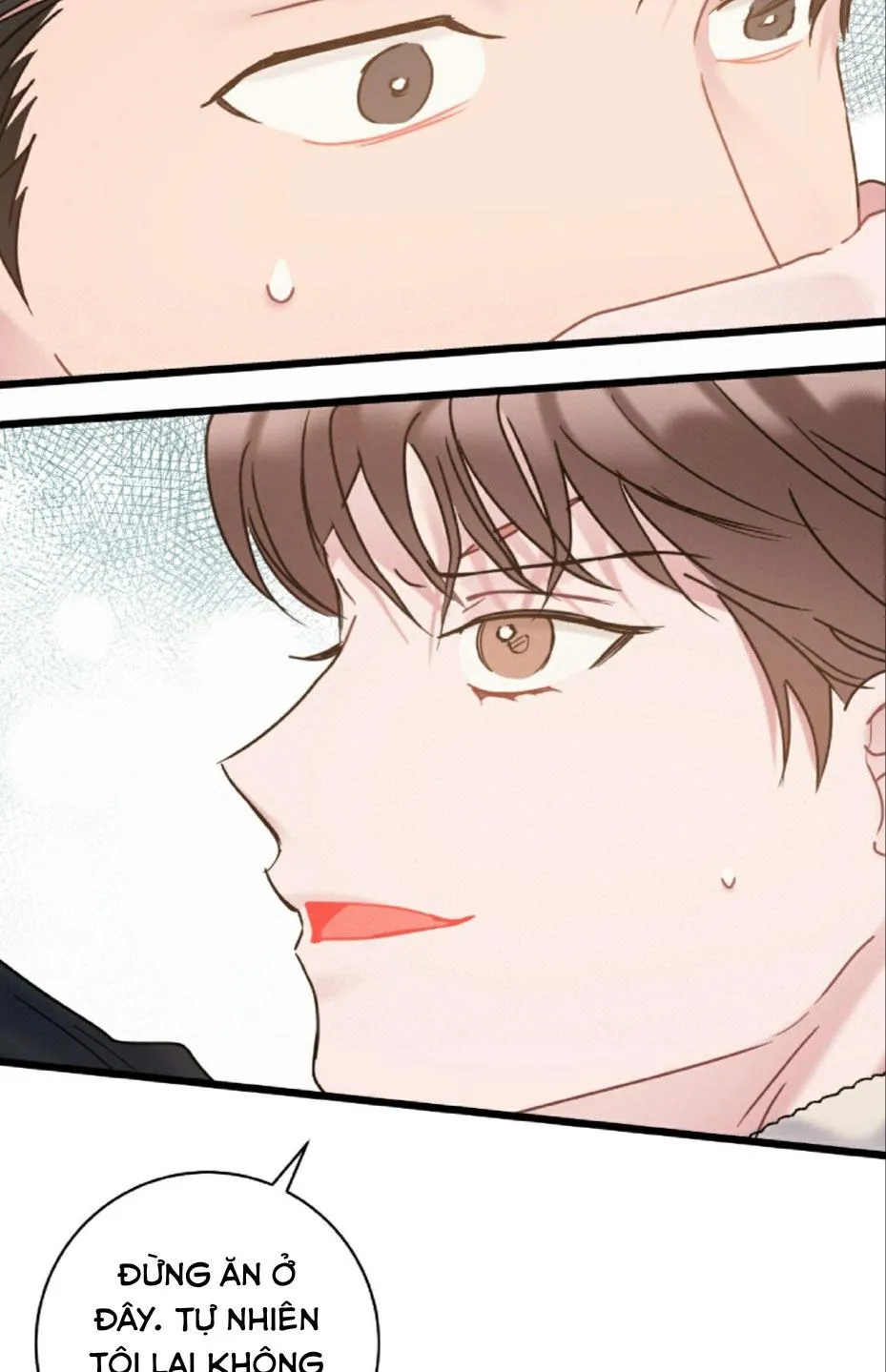 TÌNH YÊU BÌNH DỊ NHẤT Chapter 32 Trang 52