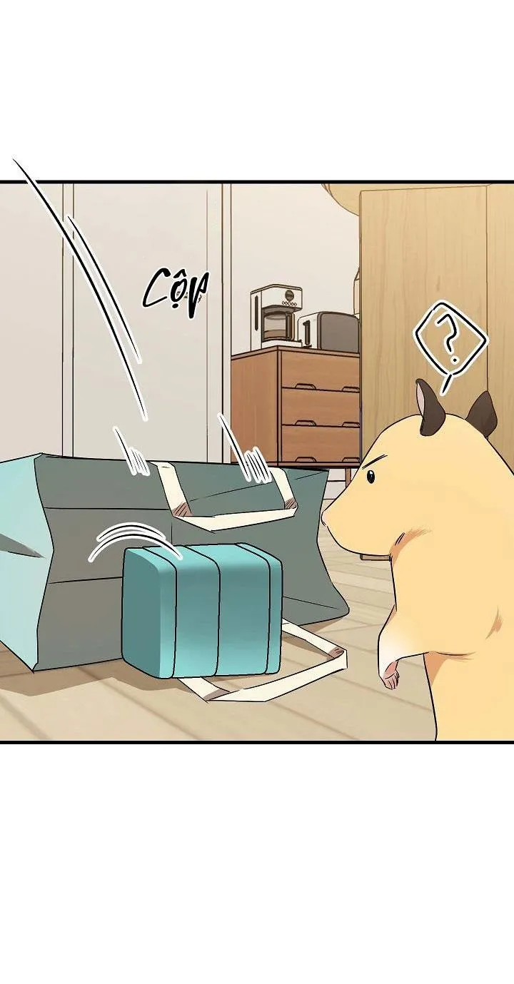 Tình yêu của Hyung Tae Chapter 10 Trang 47