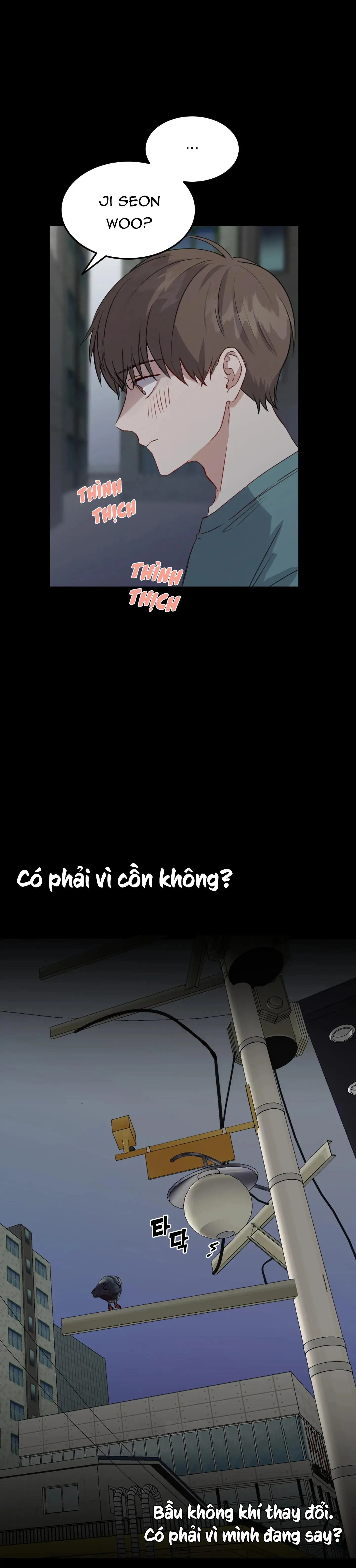 Tình Yêu Hiếm Có Chapter 2 Trang 11