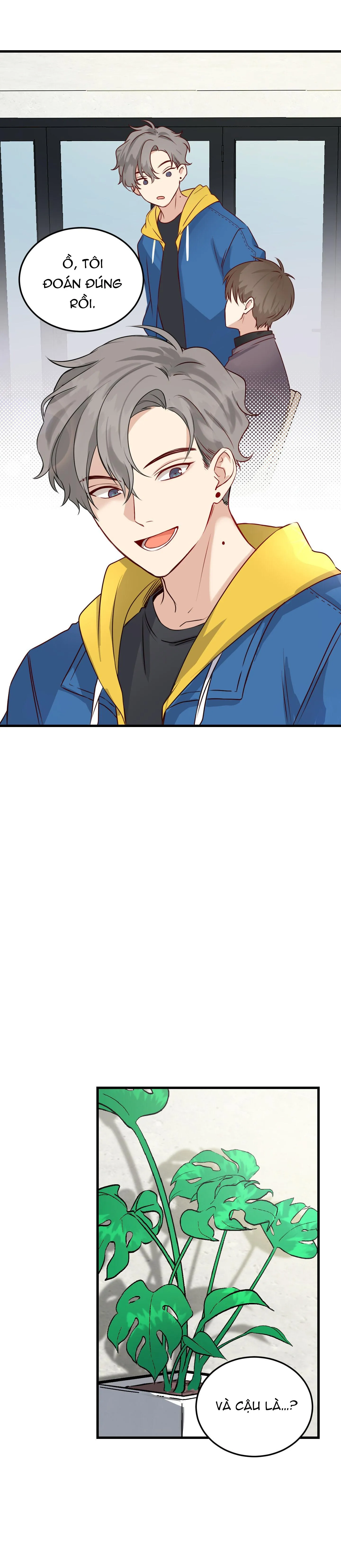 Tình Yêu Hiếm Có Chapter 1 Trang 8