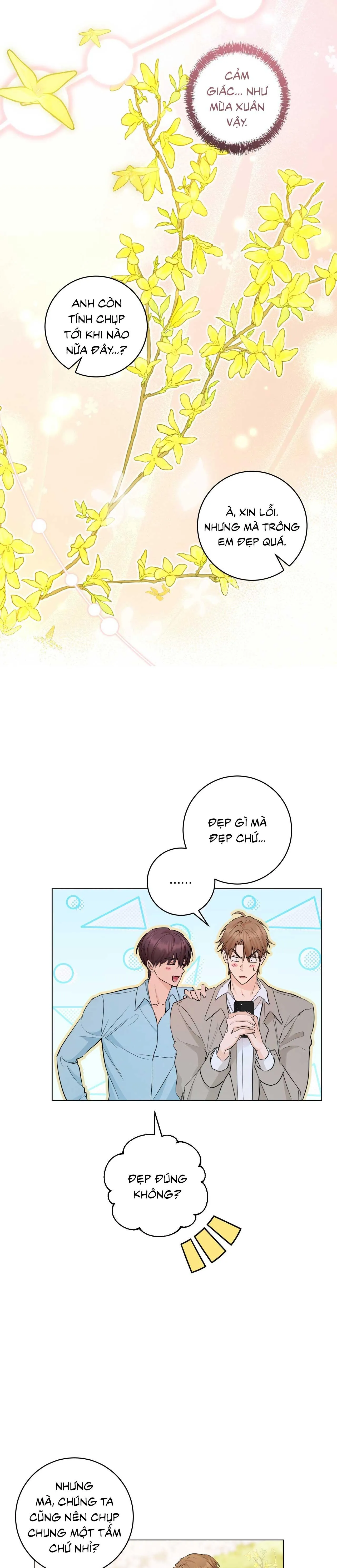 TÌNH YÊU KẸO BẠC HÀ Chapter 13 Trang 13