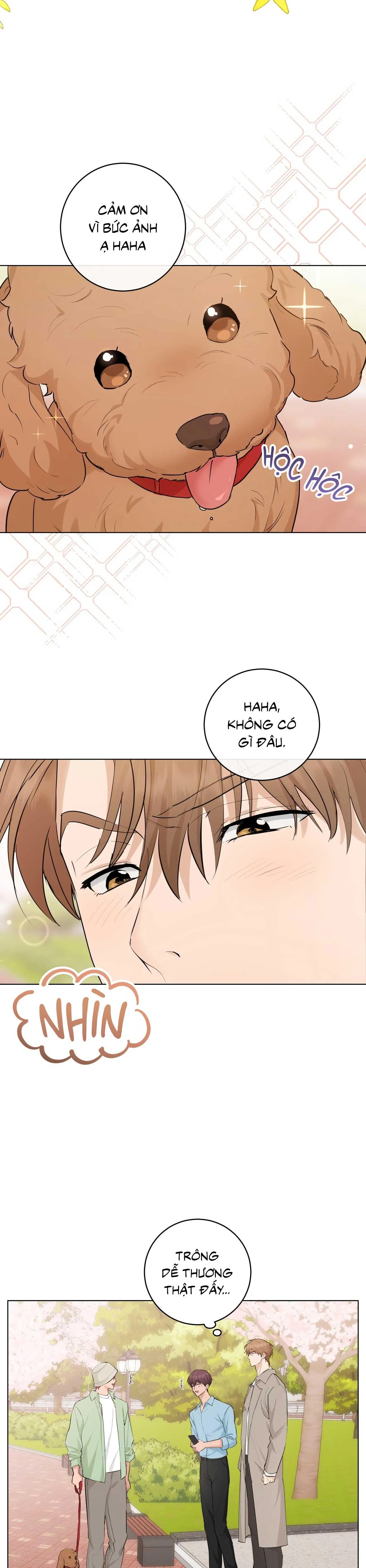 TÌNH YÊU KẸO BẠC HÀ Chapter 13 Trang 18