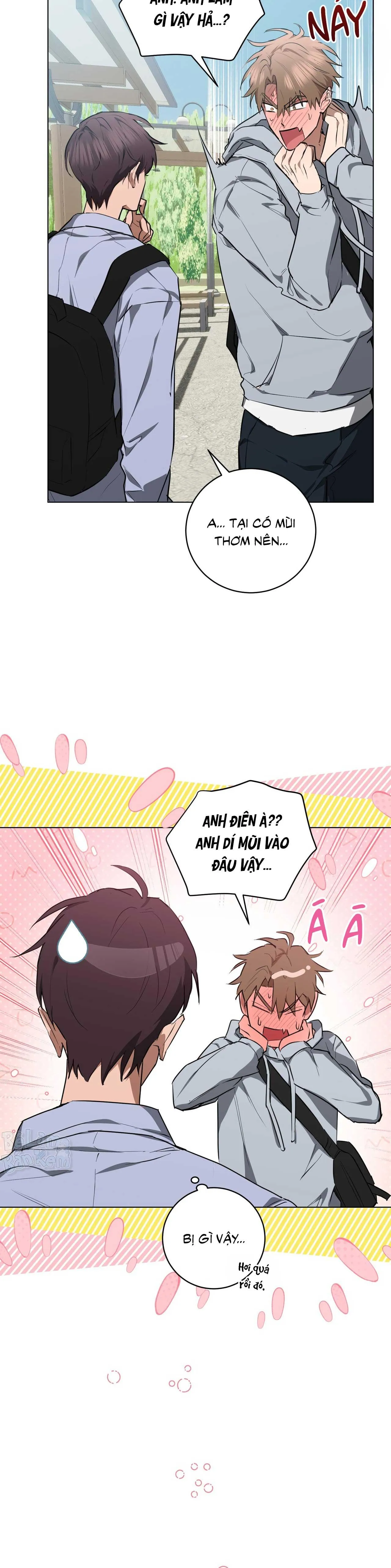 TÌNH YÊU KẸO BẠC HÀ Chapter 22 Trang 21