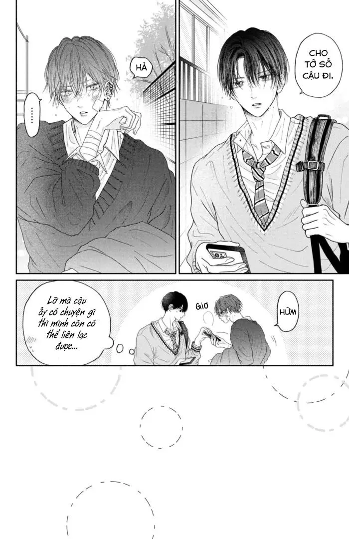 Tình Yêu Không Thể Giấu Chapter 4 Trang 3