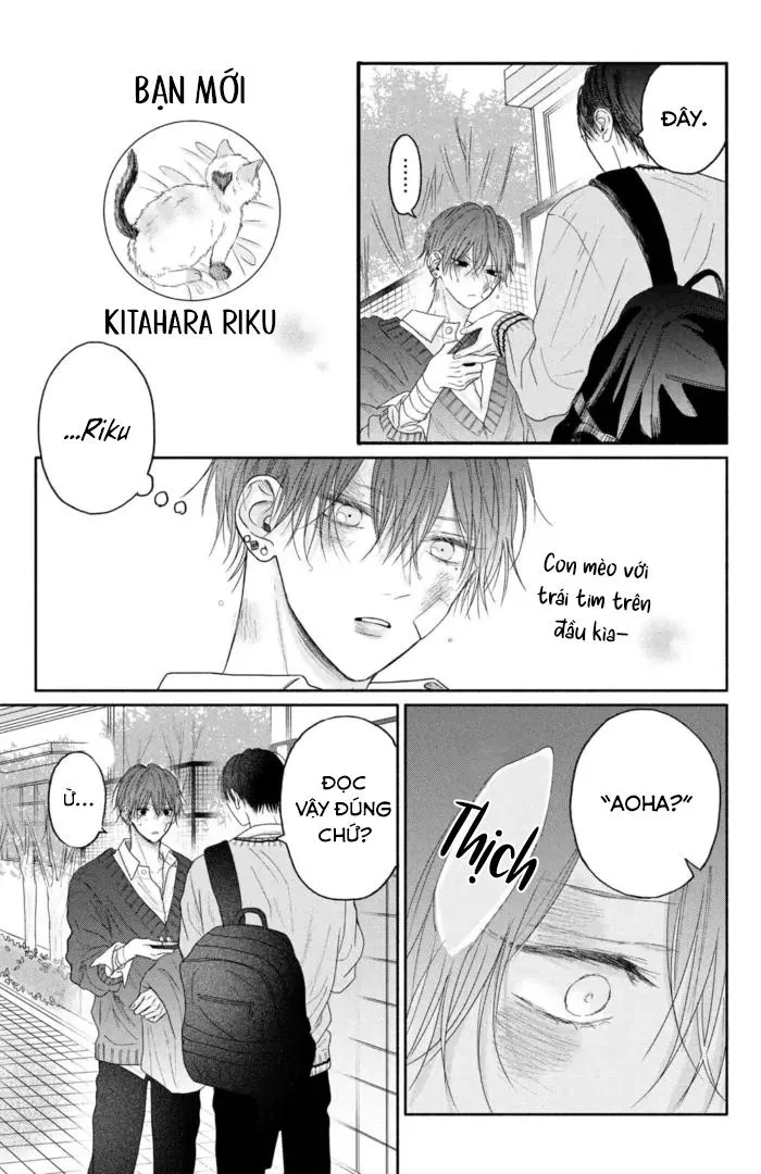 Tình Yêu Không Thể Giấu Chapter 4 Trang 4