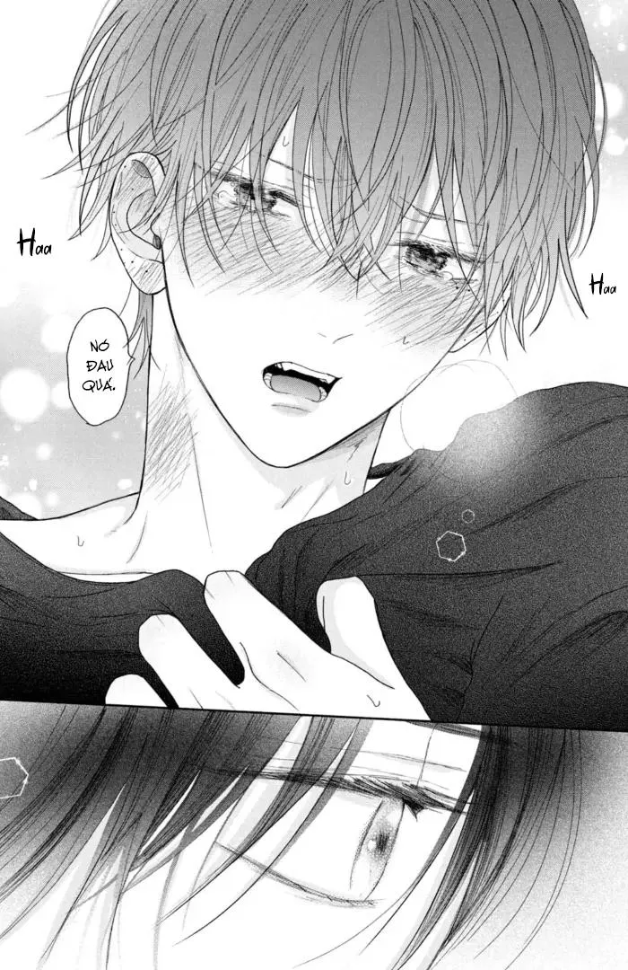 Tình Yêu Không Thể Giấu Chapter 4 Trang 37