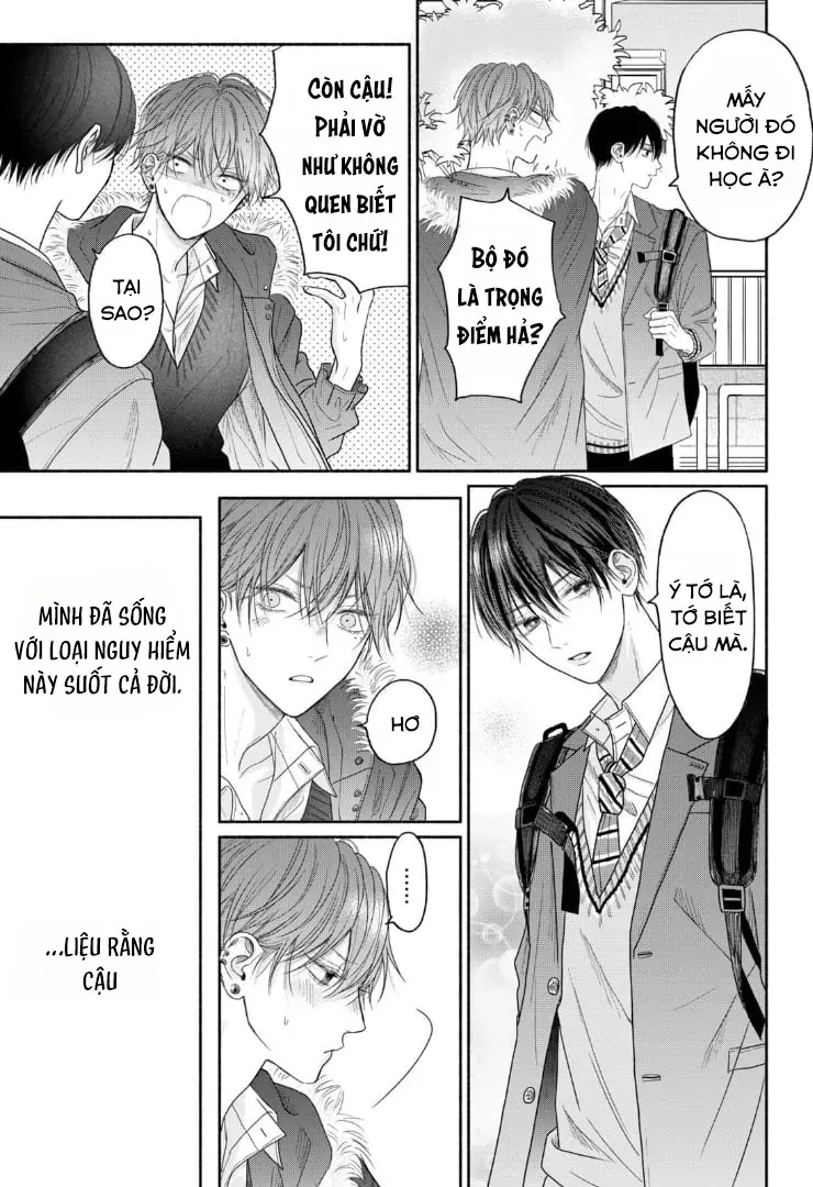 Tình Yêu Không Thể Giấu Chapter 7 Trang 10