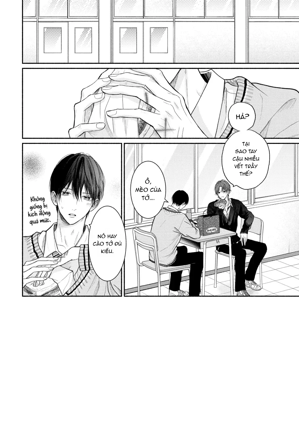 Tình Yêu Không Thể Giấu Chapter 16 Trang 3