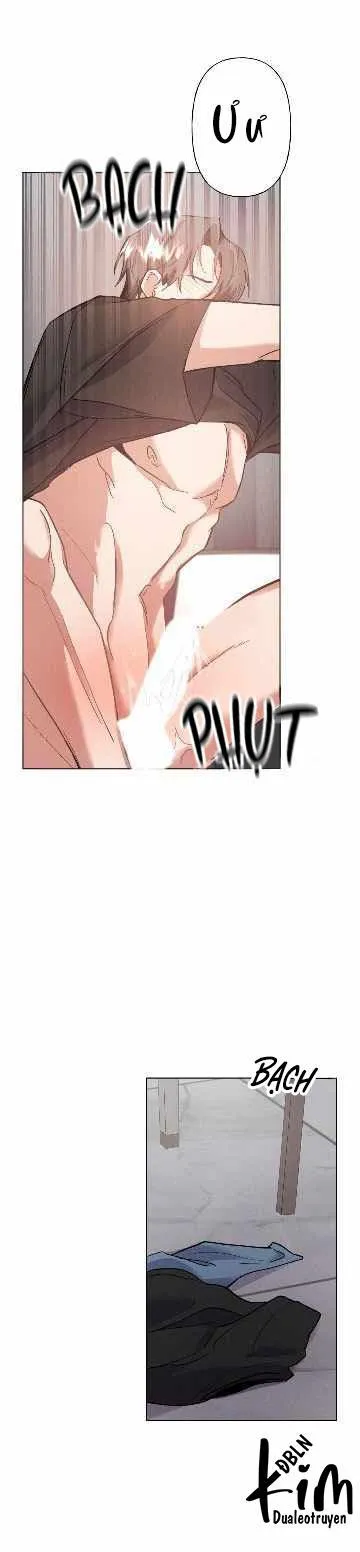 TÌNH YÊU KHÔNG TỔN THẤT Chapter 11 Trang 16