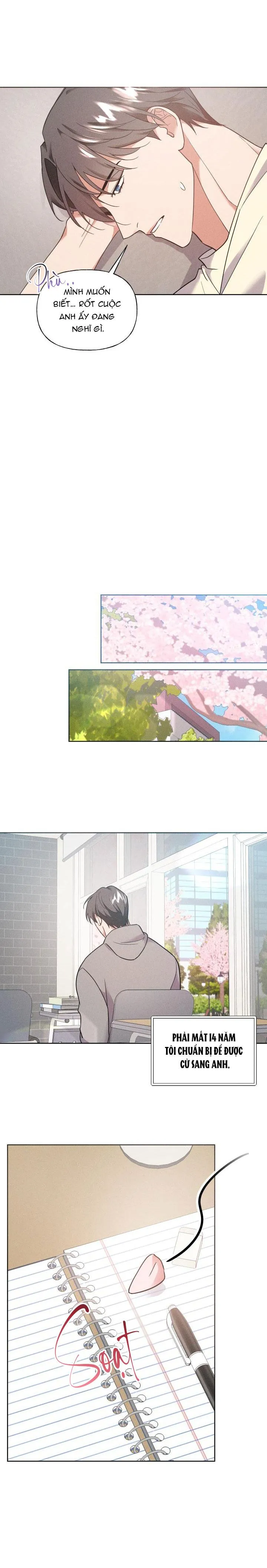 TÌNH YÊU KHÔNG TỔN THẤT Chapter 30 Trang 5