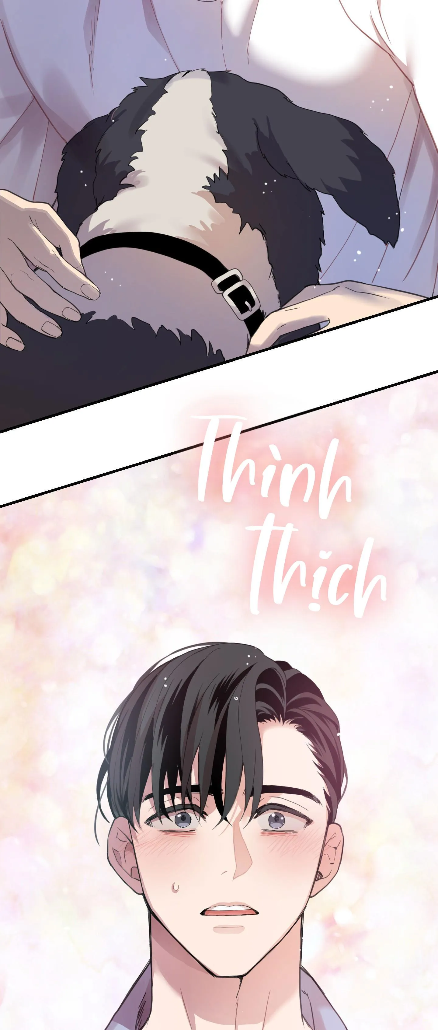 TÌNH YÊU LÔNG CHÓ Chapter 7 Trang 64