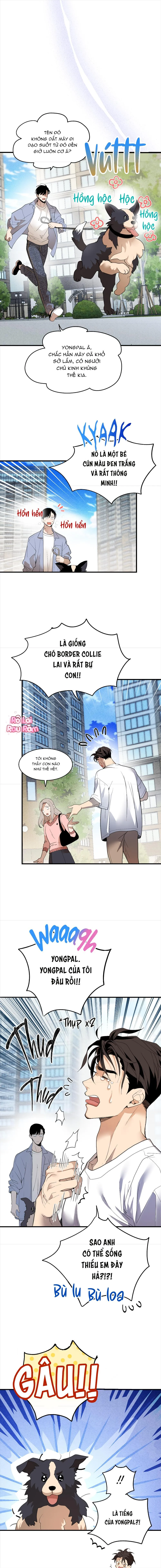 TÌNH YÊU LÔNG XÙ Chapter 7 Trang 13