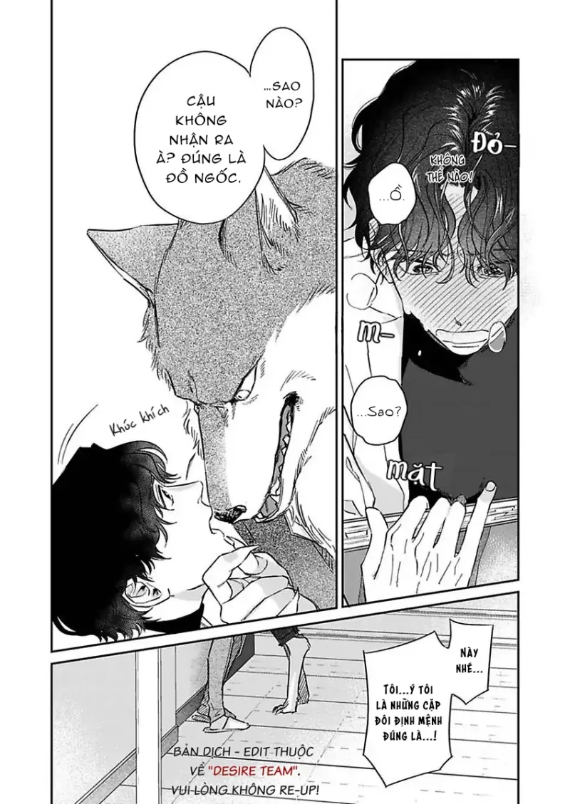 [END] Tình Yêu Mãnh Liệt Của Ngài Sói Chapter 2 Trang 17