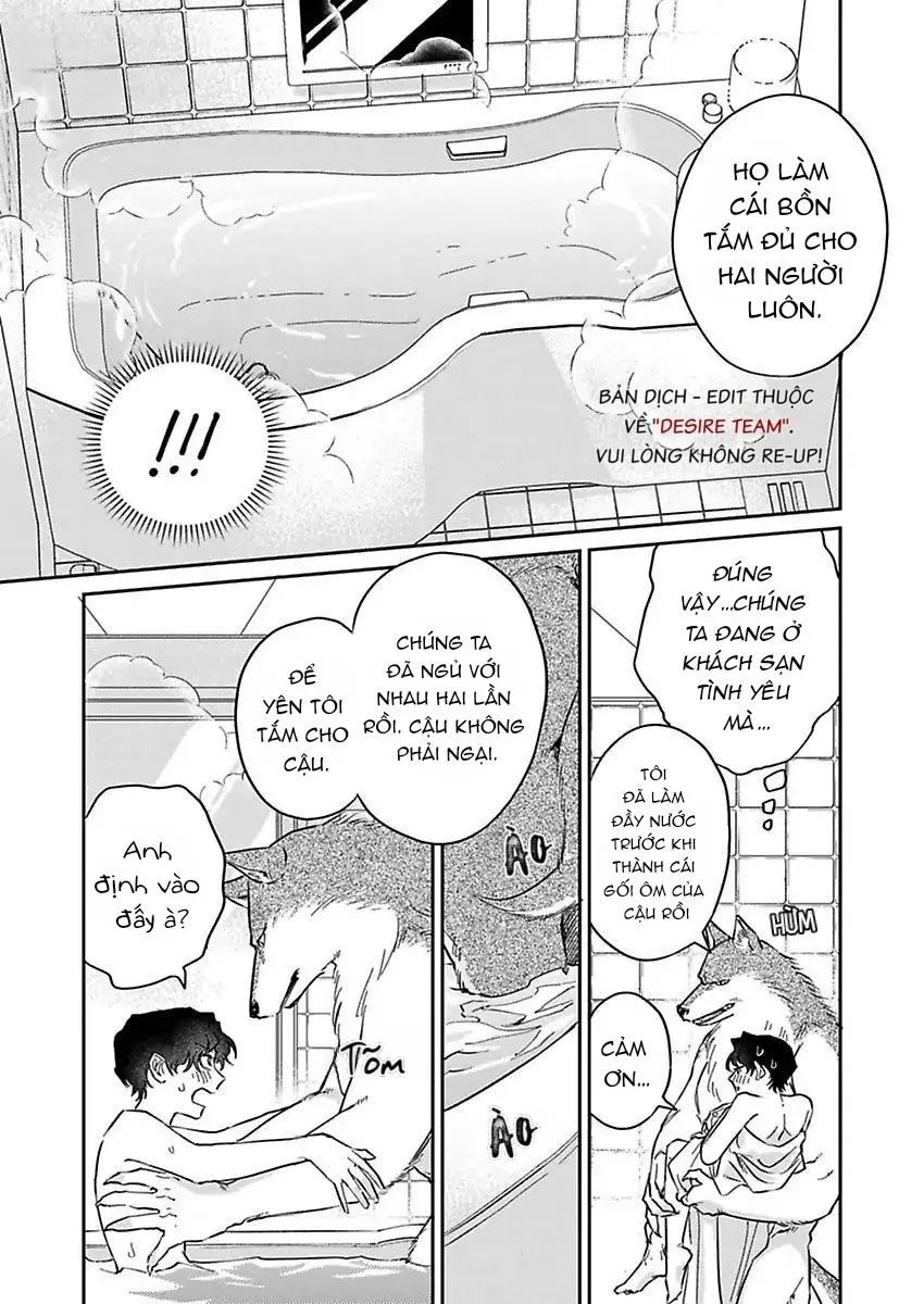[END] Tình Yêu Mãnh Liệt Của Ngài Sói Chapter 3 Trang 10