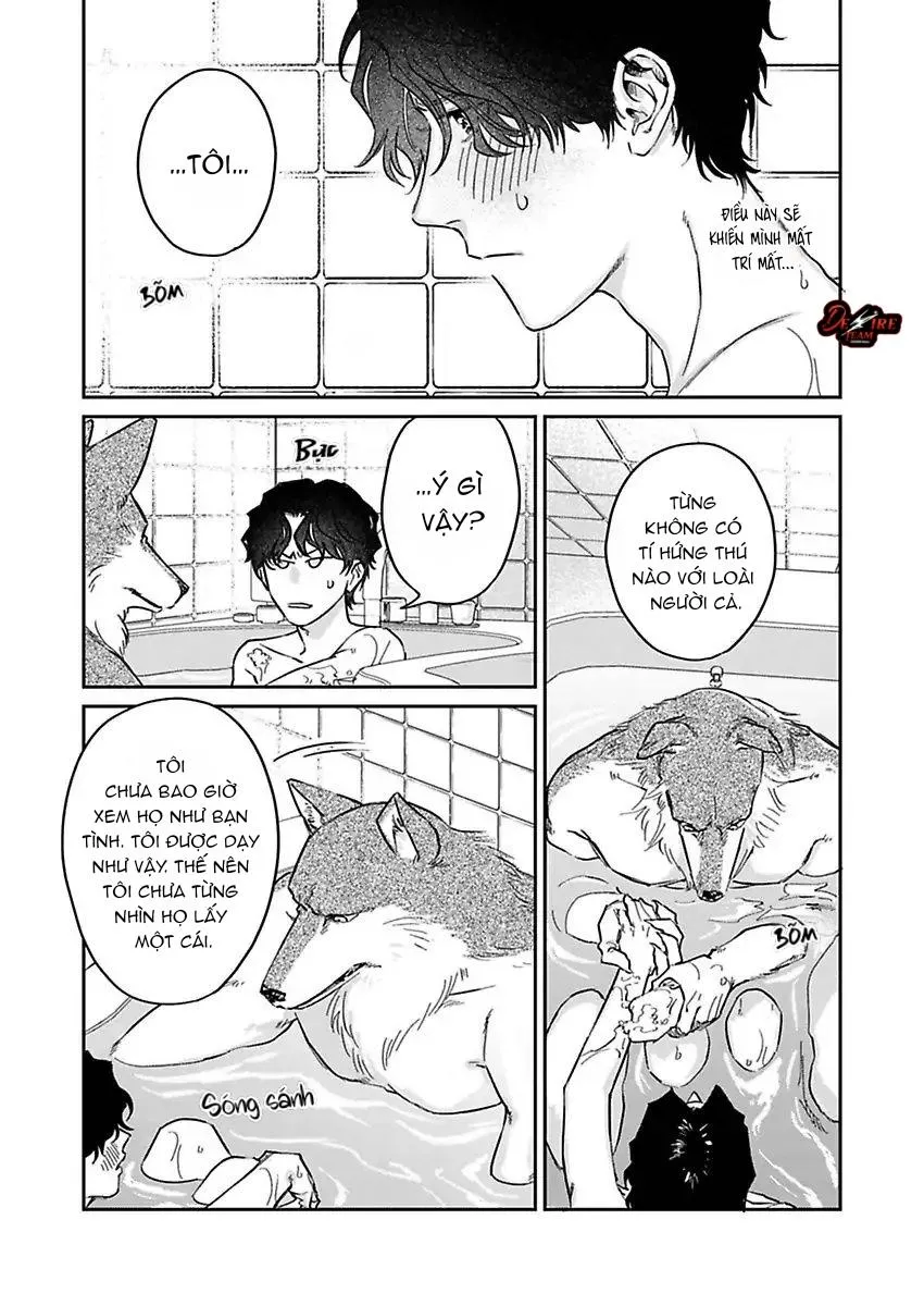 [END] Tình Yêu Mãnh Liệt Của Ngài Sói Chapter 3 Trang 12