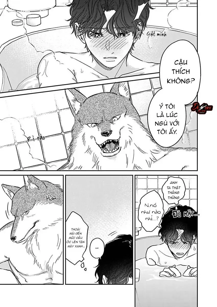 [END] Tình Yêu Mãnh Liệt Của Ngài Sói Chapter 3 Trang 14