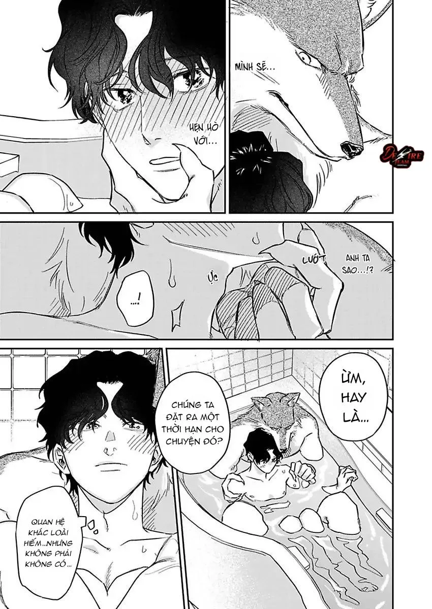 [END] Tình Yêu Mãnh Liệt Của Ngài Sói Chapter 3 Trang 20