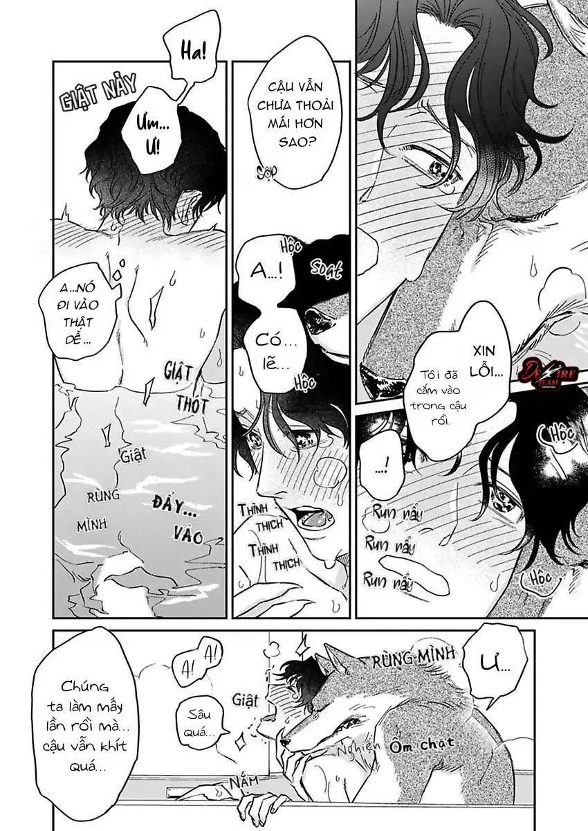 [END] Tình Yêu Mãnh Liệt Của Ngài Sói Chapter 3 Trang 25