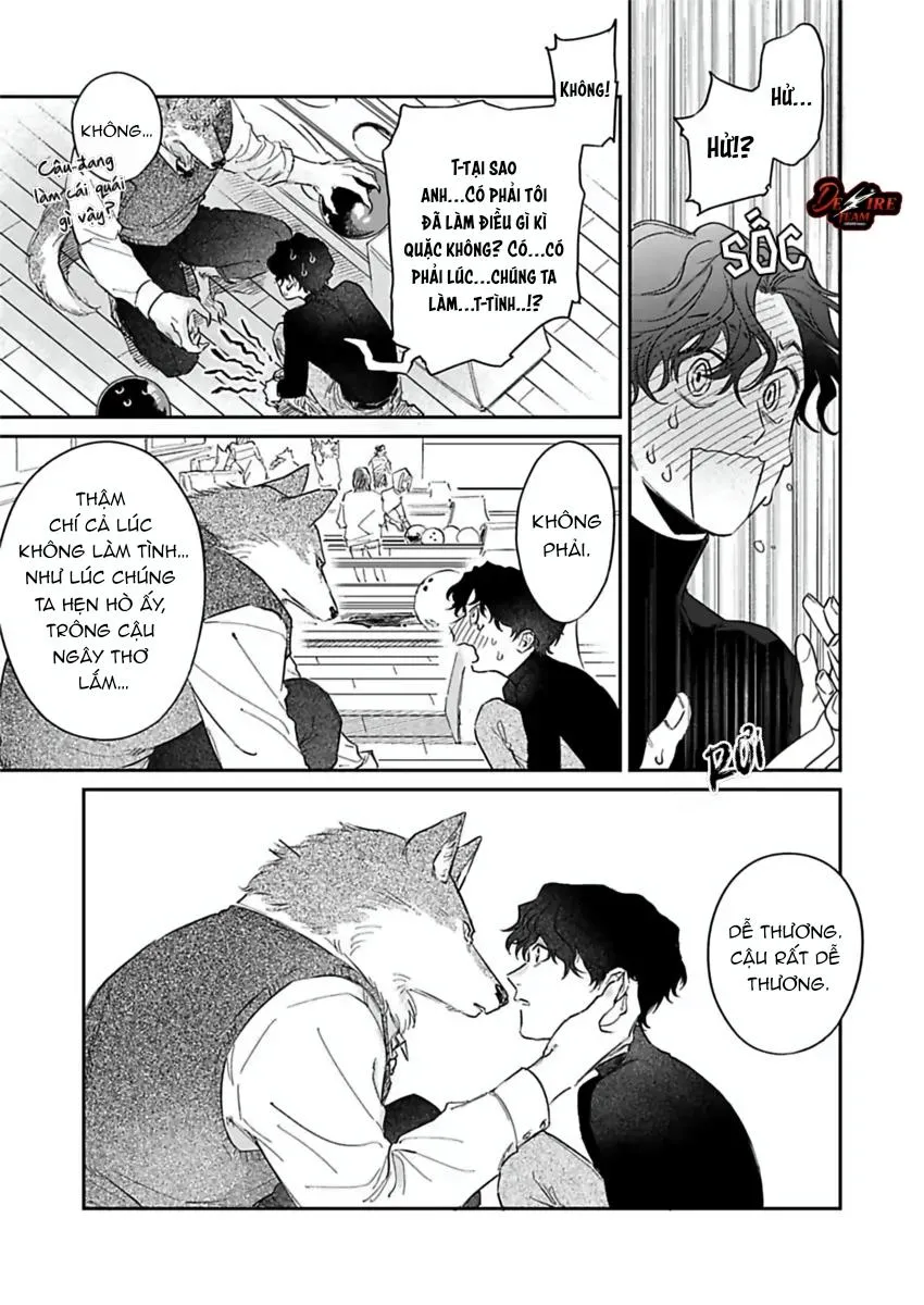 [END] Tình Yêu Mãnh Liệt Của Ngài Sói Chapter 4 Trang 14