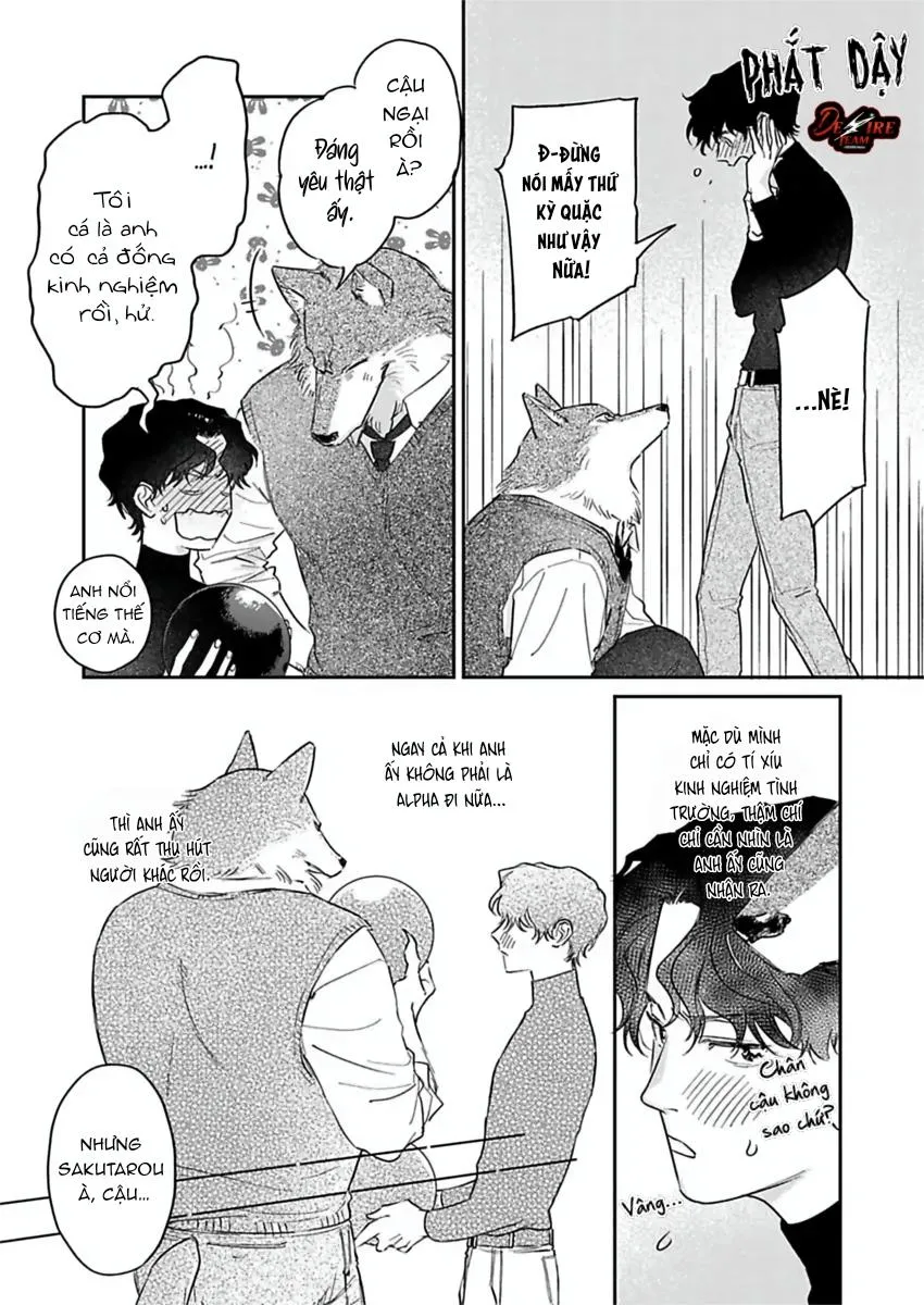 [END] Tình Yêu Mãnh Liệt Của Ngài Sói Chapter 4 Trang 15