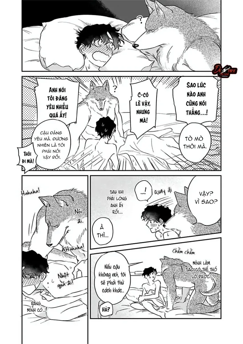 [END] Tình Yêu Mãnh Liệt Của Ngài Sói Chapter 4 Trang 23