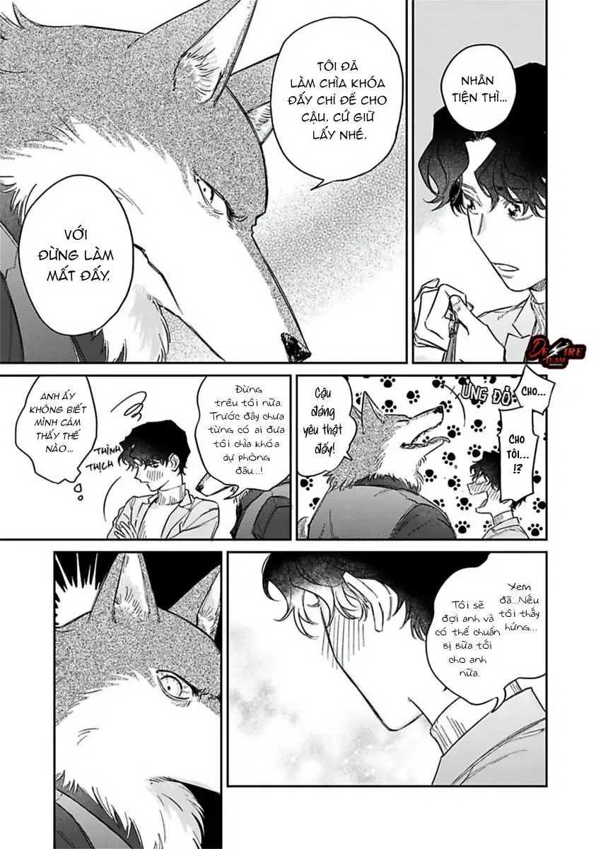 [END] Tình Yêu Mãnh Liệt Của Ngài Sói Chapter 5 Trang 8