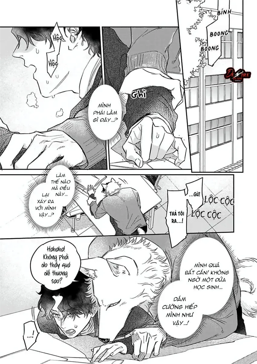 [END] Tình Yêu Mãnh Liệt Của Ngài Sói Chapter 6 Trang 4