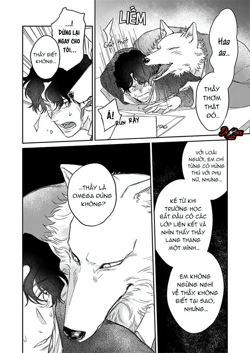 [END] Tình Yêu Mãnh Liệt Của Ngài Sói Chapter 6 Trang 5