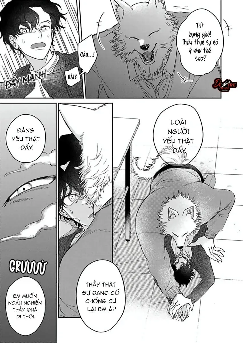 [END] Tình Yêu Mãnh Liệt Của Ngài Sói Chapter 6 Trang 8