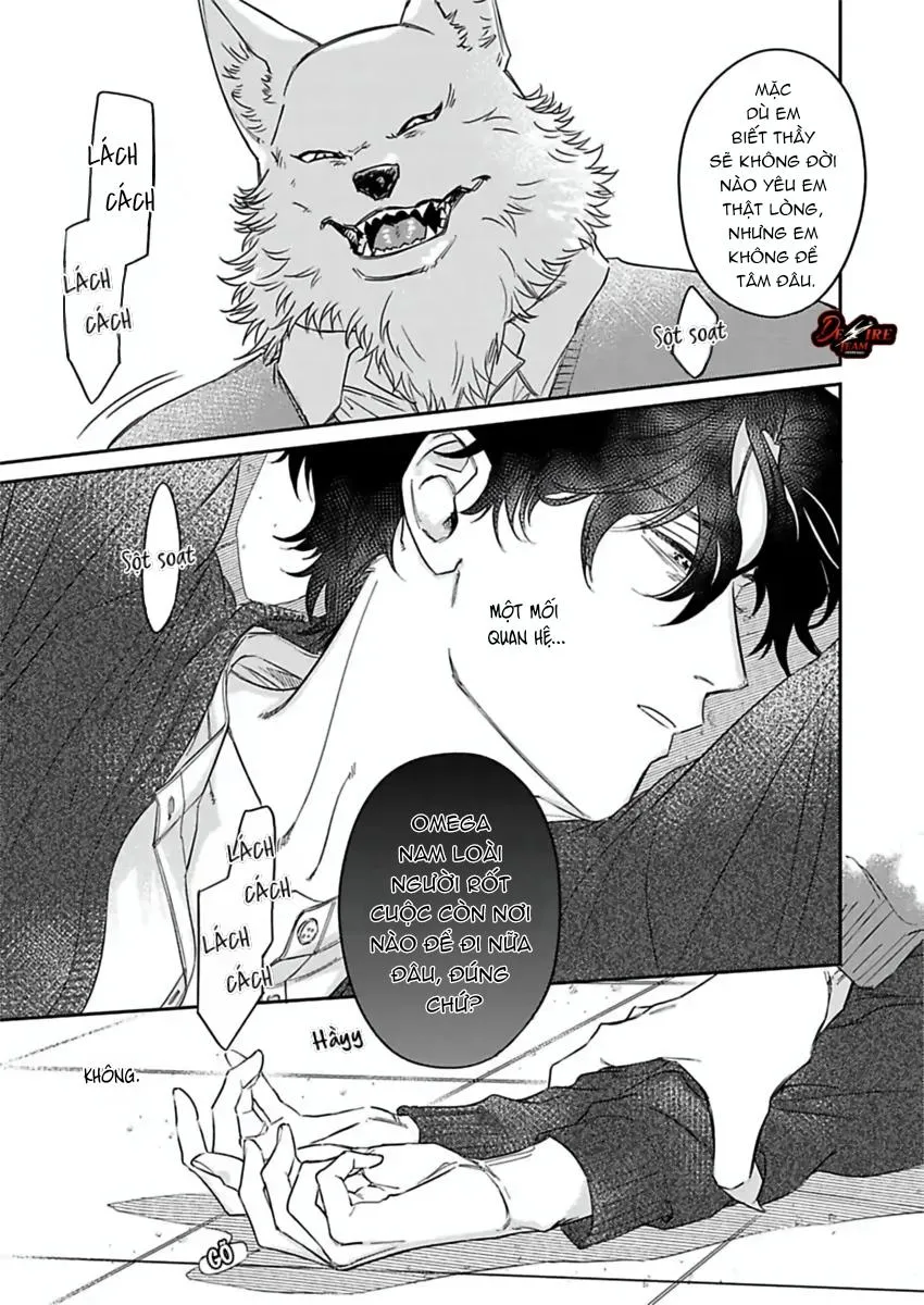 [END] Tình Yêu Mãnh Liệt Của Ngài Sói Chapter 6 Trang 12