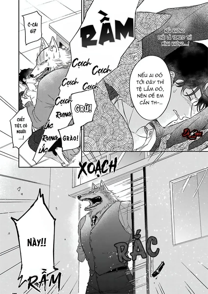 [END] Tình Yêu Mãnh Liệt Của Ngài Sói Chapter 6 Trang 13