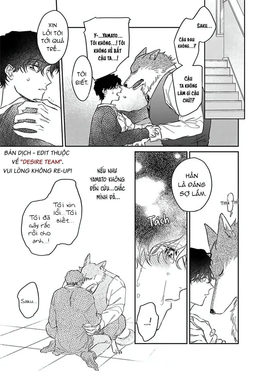 [END] Tình Yêu Mãnh Liệt Của Ngài Sói Chapter 6 Trang 16