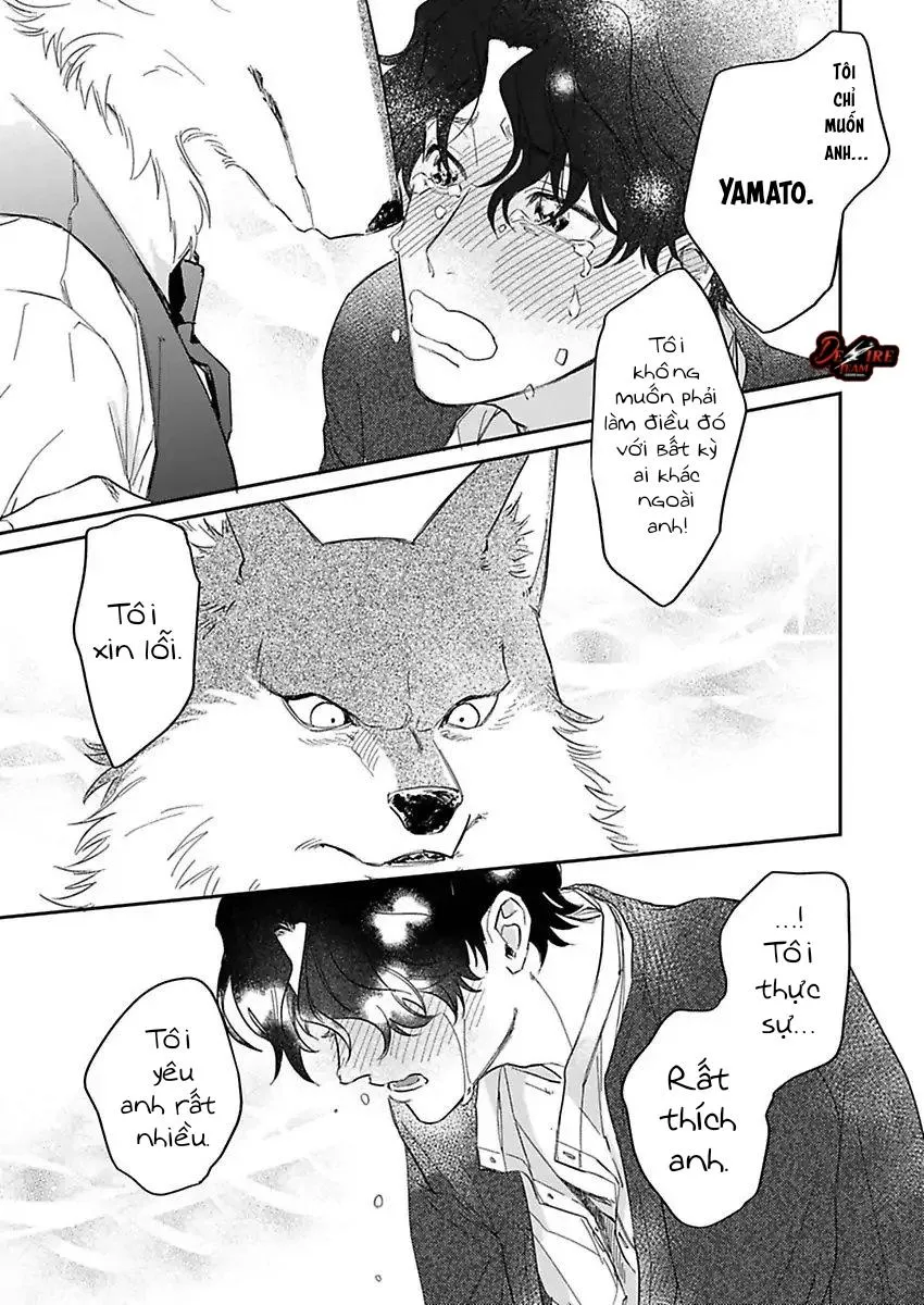 [END] Tình Yêu Mãnh Liệt Của Ngài Sói Chapter 6 Trang 18