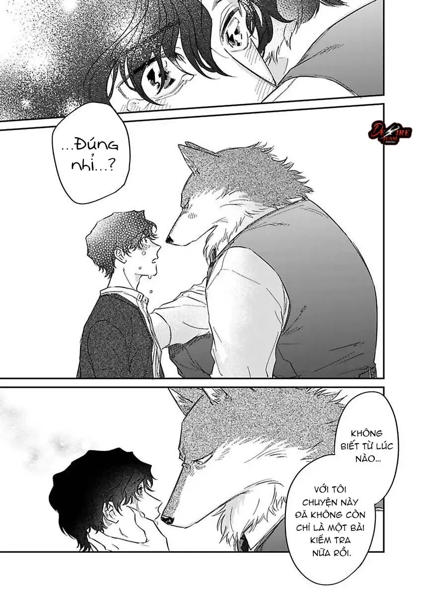 [END] Tình Yêu Mãnh Liệt Của Ngài Sói Chapter 6 Trang 20