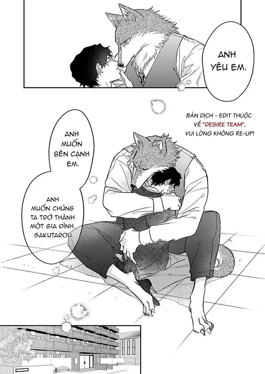[END] Tình Yêu Mãnh Liệt Của Ngài Sói Chapter 6 Trang 21