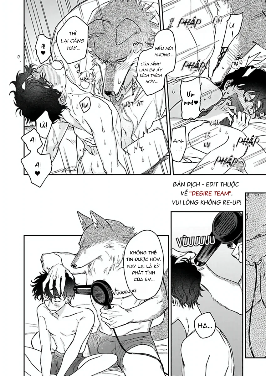 [END] Tình Yêu Mãnh Liệt Của Ngài Sói Chapter 7 Trang 12