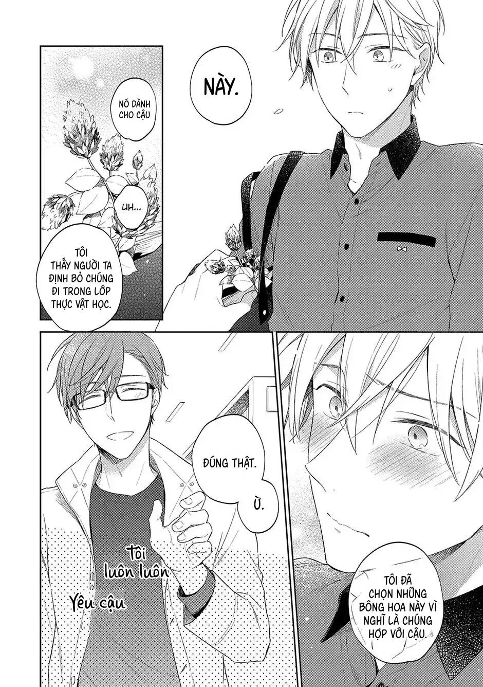 Tình Yêu Nở Trên Cành Đào Ngược Gió Chapter 3 Trang 17