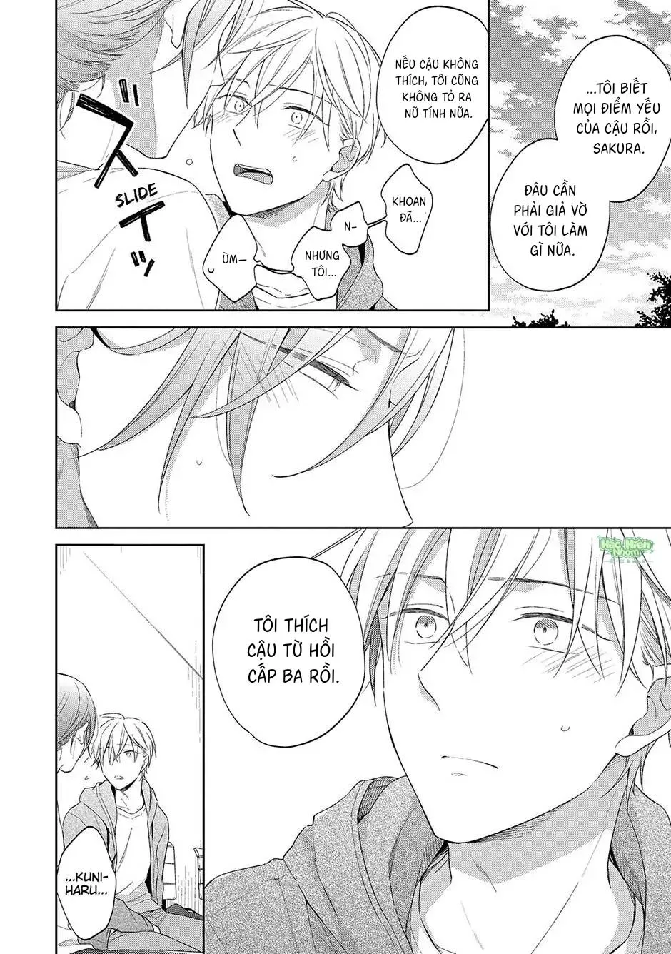 Tình Yêu Nở Trên Cành Đào Ngược Gió Chapter 4 Trang 5