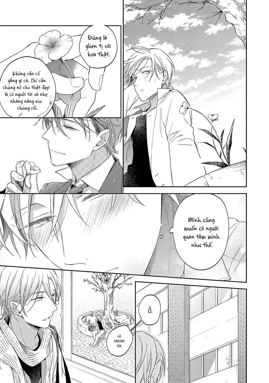 Tình Yêu Nở Trên Cành Đào Ngược Gió Chapter 1 Trang 15