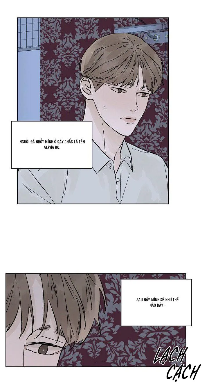 Tình Yêu Nồng Cháy Chapter 51 Trang 13