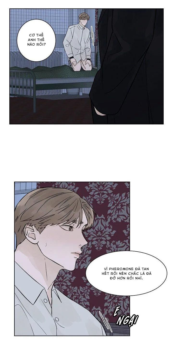 Tình Yêu Nồng Cháy Chapter 51 Trang 15