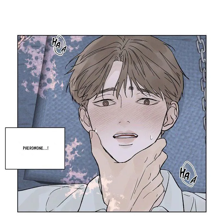 Tình Yêu Nồng Cháy Chapter 51 Trang 32