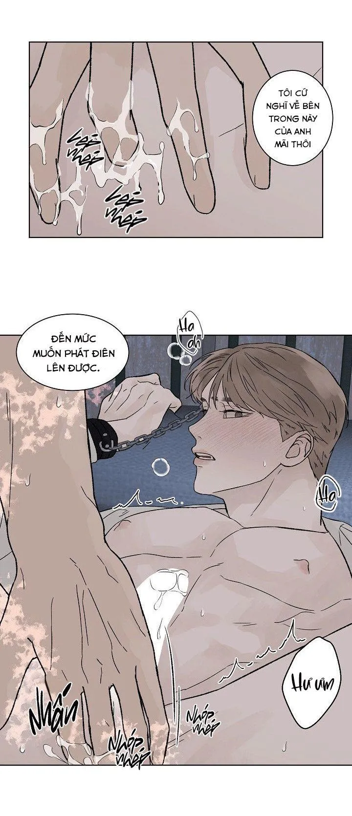 Tình Yêu Nồng Cháy Chapter 52 Trang 5