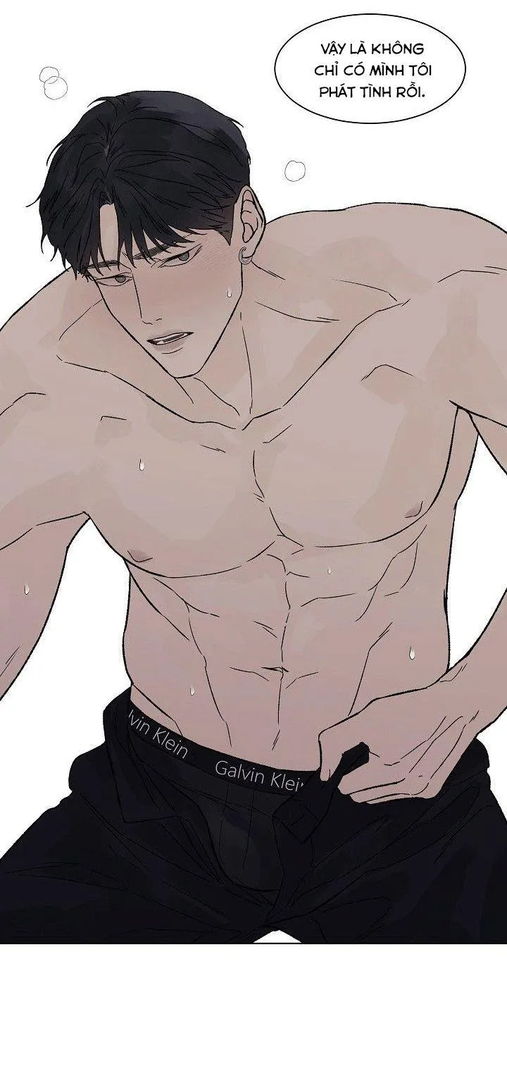 Tình Yêu Nồng Cháy Chapter 52 Trang 11