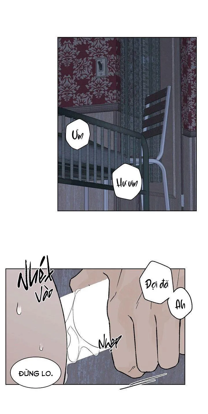 Tình Yêu Nồng Cháy Chapter 52 Trang 14